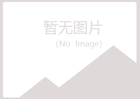 青山区敷衍造纸有限公司